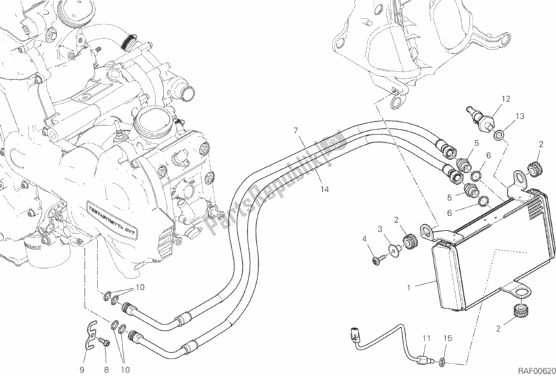 Todas as partes de Radiador De óleo do Ducati Multistrada 1260 S ABS USA 2019